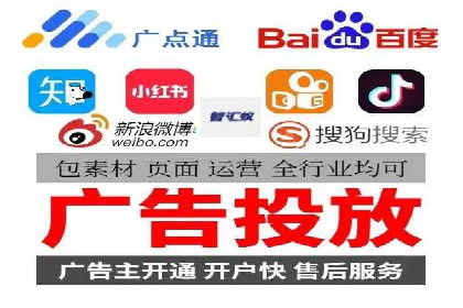 SEM竞价实战：成功案例解析